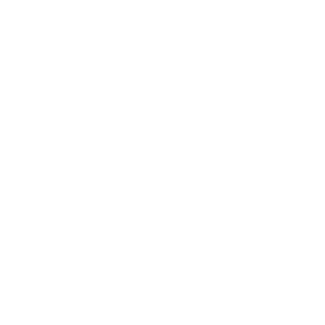 wordpress-simple-brands